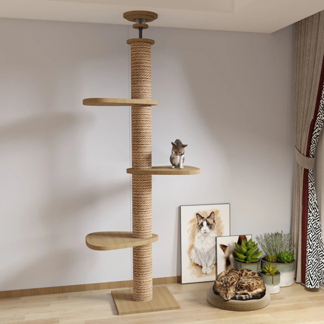 Floor To Ceiling Sturdy Cat Tree